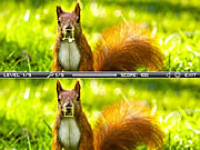 Squirrel difference online jtk