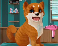 Become a puppy groomer gyerek ingyen játék