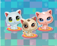 Cute Kitty care gyerek HTML5 játék