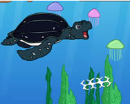 gyerek - Diego tugathe sea turtle