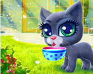Happy cat gyerek HTML5 játék