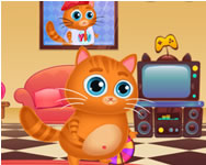 Lovely virtual cat gyerek ingyen játék