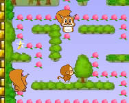 gyerek - Monkey Pacman