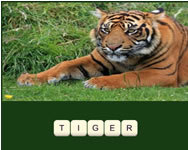 Zoo trivia gyerek HTML5 játék